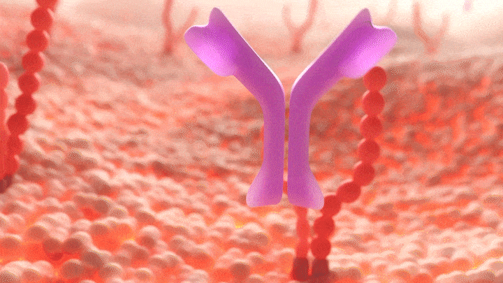 NEMLUVIO Wirkmechanismus